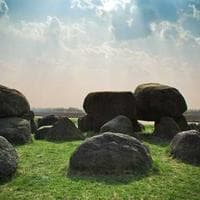 Muhammad Shamroz Naseer